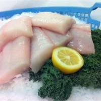 Fresh Alaskan halibut